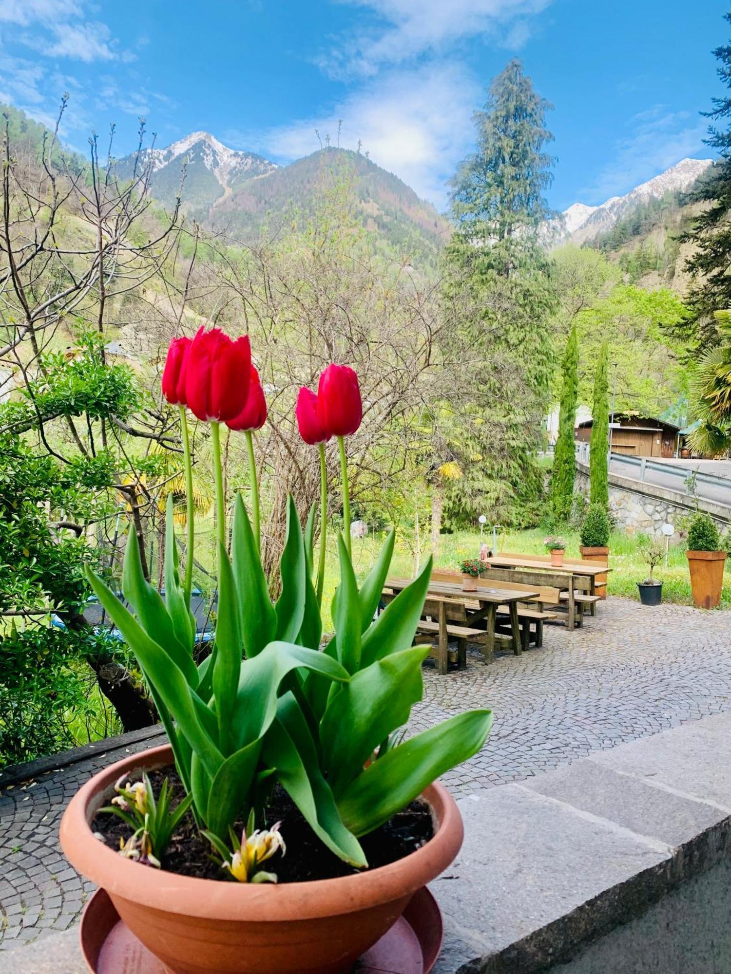 Tannerhof Bed & Breakfast Caines エクステリア 写真