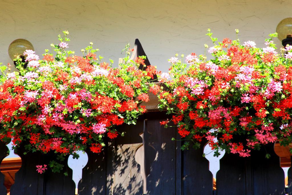 Tannerhof Bed & Breakfast Caines エクステリア 写真