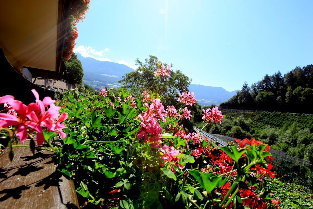 Tannerhof Bed & Breakfast Caines 部屋 写真